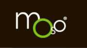 Moso Bamboo