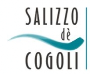 Salizzo de Cogoli